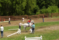 Scene from the Black River Ranch Horse show 